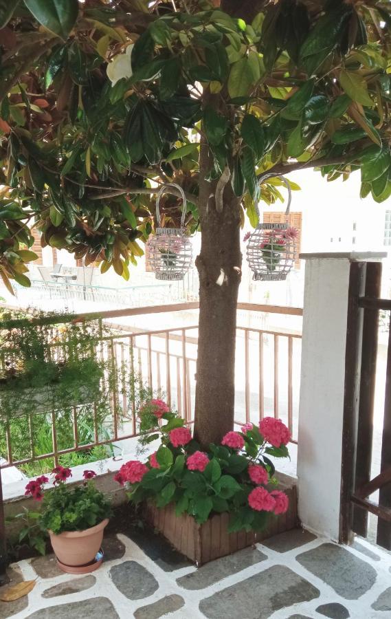 Marika House * Stavros (Thessaloniki)